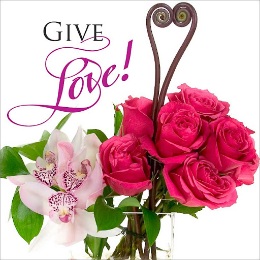 Gift Shop «In Bloom, Flowers and Gifts», reviews and photos, 1165 Old York Rd, Abington, PA 19001, USA