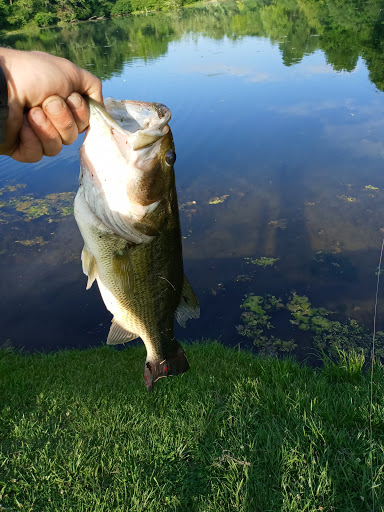 Park «Craig Park», reviews and photos, 2013 W County Rd 950 N, Brazil, IN 47834, USA