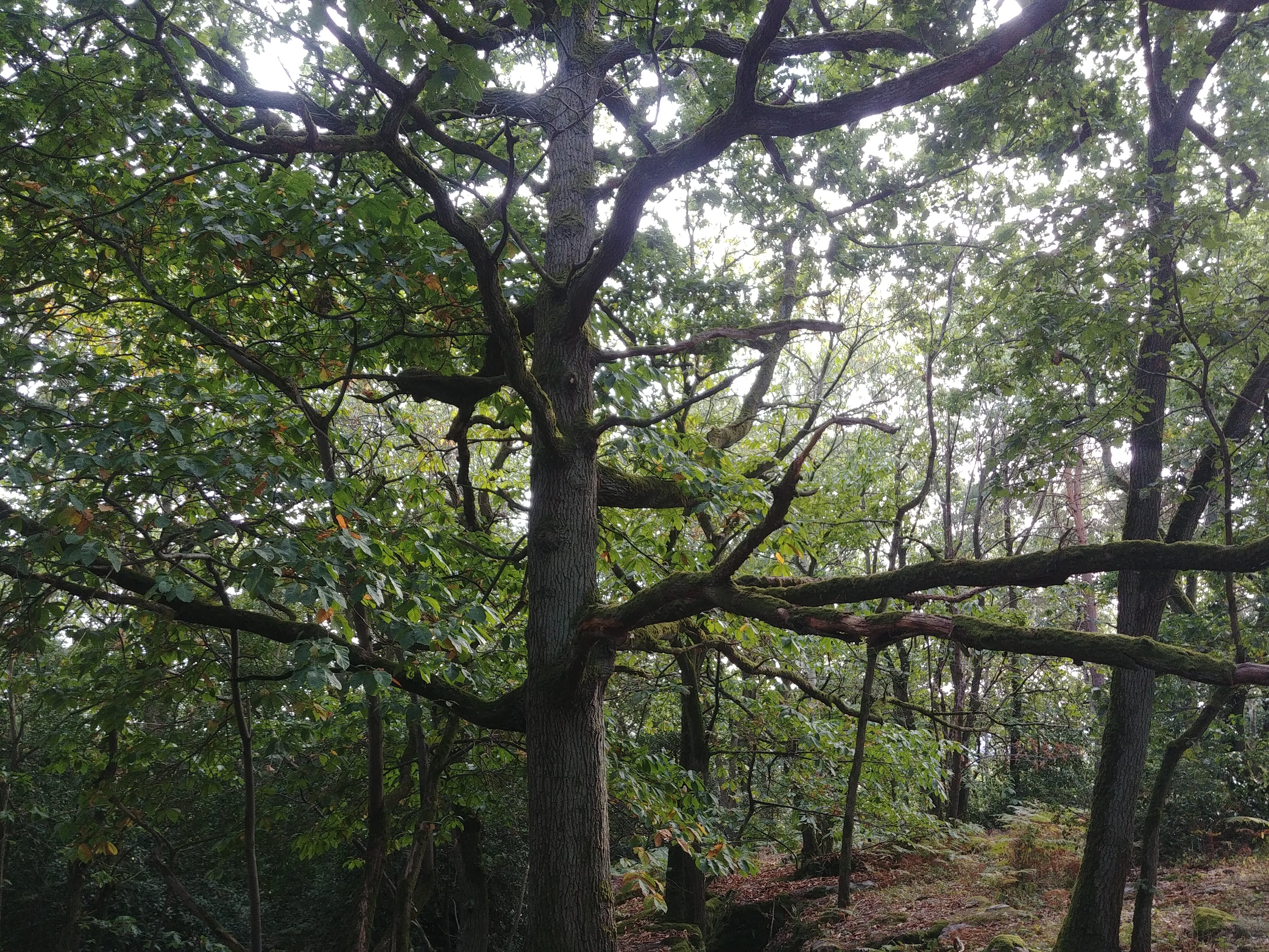 Photo n° 1 de l'avis de Olivier.l fait le 17/09/2019 à 20:26