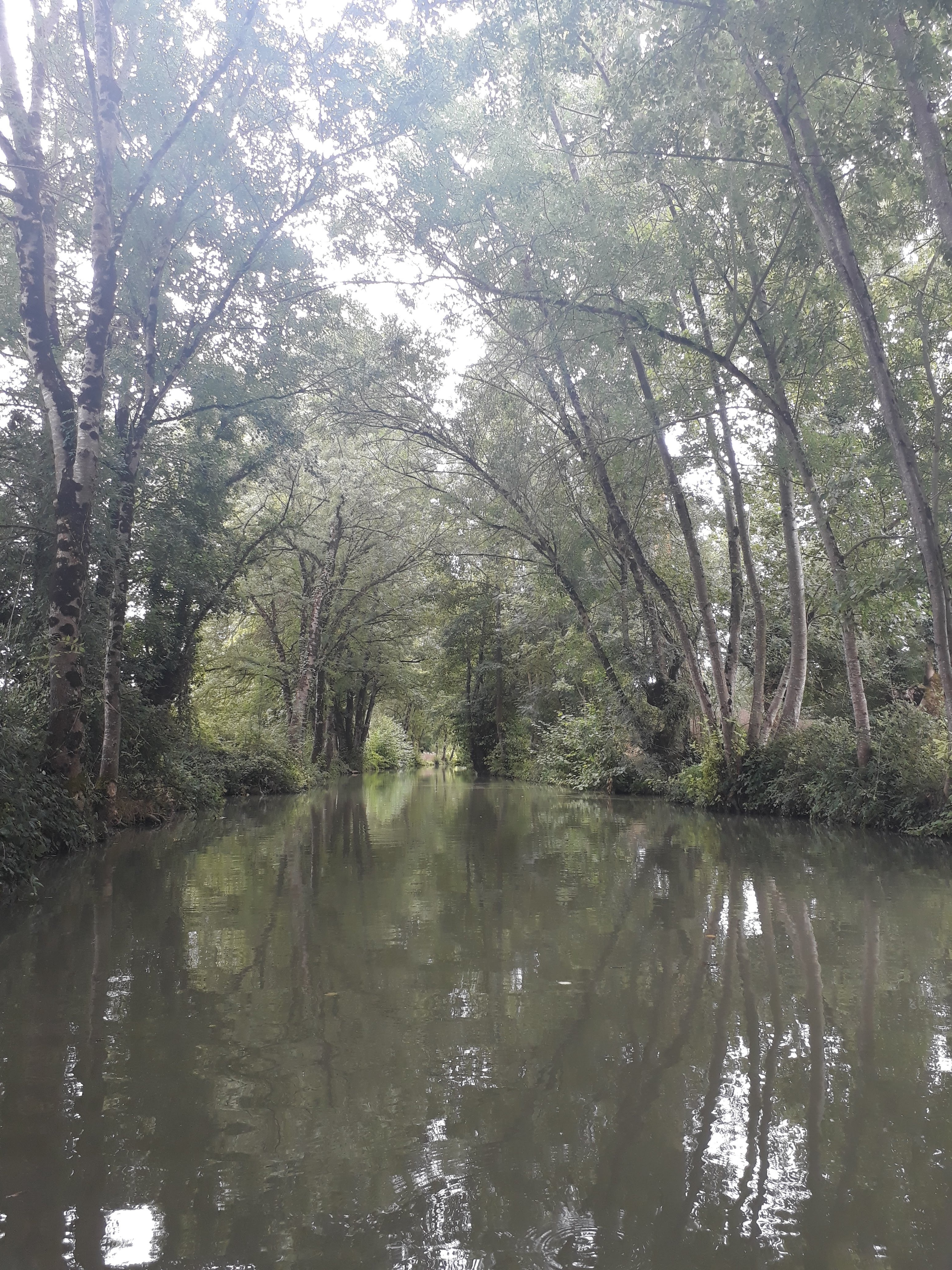 Photo n° 2 de l'avis de Vivi.l fait le 20/02/2019 à 12:13