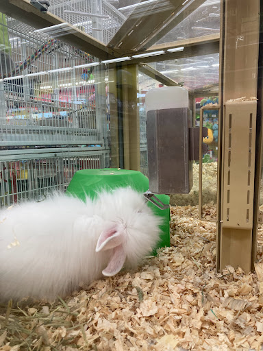 Pet Supply Store «Pet Supermarket», reviews and photos, 3821 S Cobb Dr, Smyrna, GA 30080, USA