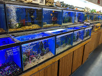 Greentree Pet Center - Photo 2 - Car repair in Clarksville, IN, Louisville