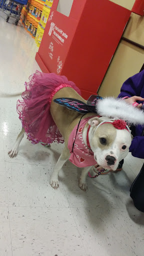 Pet Supply Store «PetSmart», reviews and photos, 1705 N Bechtle Ave, Springfield, OH 45504, USA