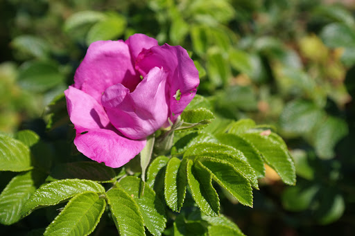 Recreation Center «Sandy Hook - Gateway National Recreation Area», reviews and photos, 128 S Hartshorne Dr, Highlands, NJ 07732, USA