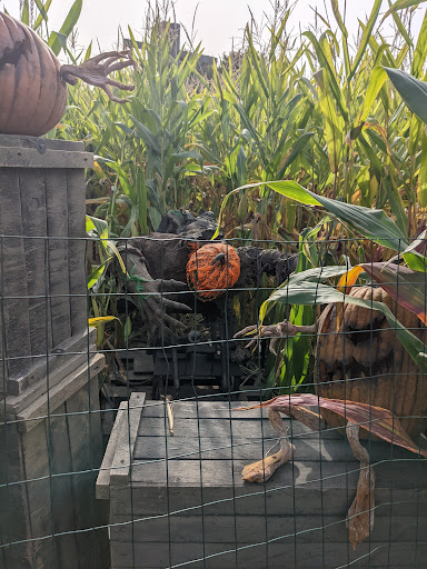 Haunted House «Headless Horseman», reviews and photos, 778 Broadway, Ulster Park, NY 12487, USA