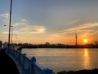 平井大橋