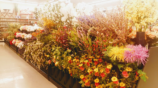 Craft Store «Hobby Lobby», reviews and photos, 1991 Exeter Rd, Germantown, TN 38138, USA