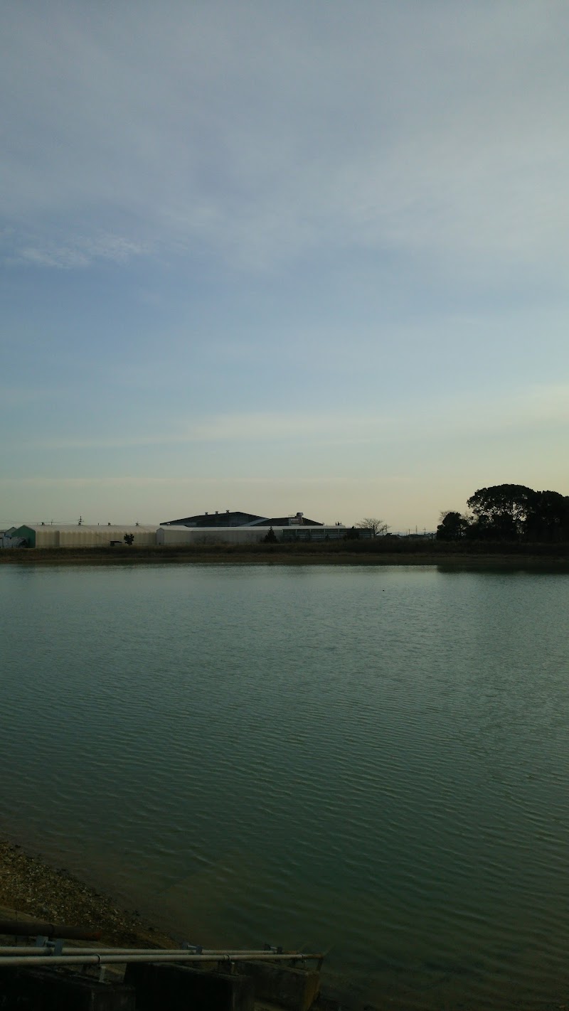 竹谷池