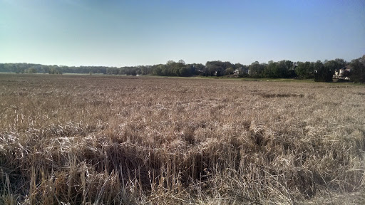 Private Golf Course «Olympic Hills Golf Club», reviews and photos, 10625 Mount Curve Rd, Eden Prairie, MN 55347, USA