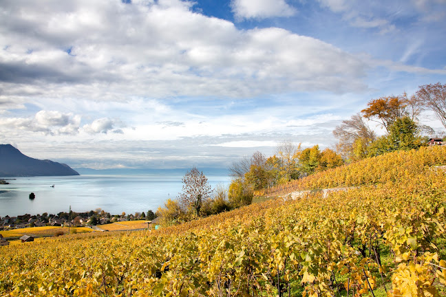 Kommentare und Rezensionen über Swiss WineArt WeinArt AG