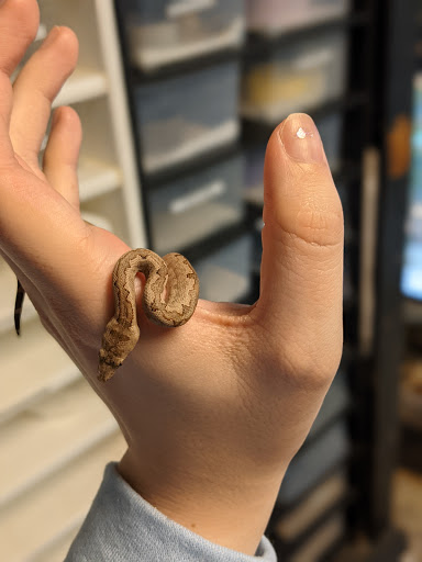 Pet Supply Store «Pet Bazaar», reviews and photos, 490 FL-436, Casselberry, FL 32707, USA