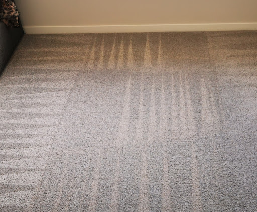 Klever Carpet Cleaning Auckland