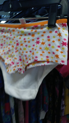 Thrift Store «The Salvation Army Family Store & Donation Center», reviews and photos, 5875 Middlebelt Rd, Romulus, MI 48174, USA