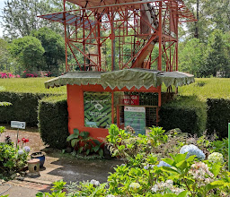 Petik Strawberry CEPLUS photo