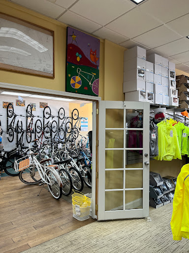 Bicycle Store «California Bicycle Inc», reviews and photos, 7462 La Jolla Blvd, La Jolla, CA 92037, USA