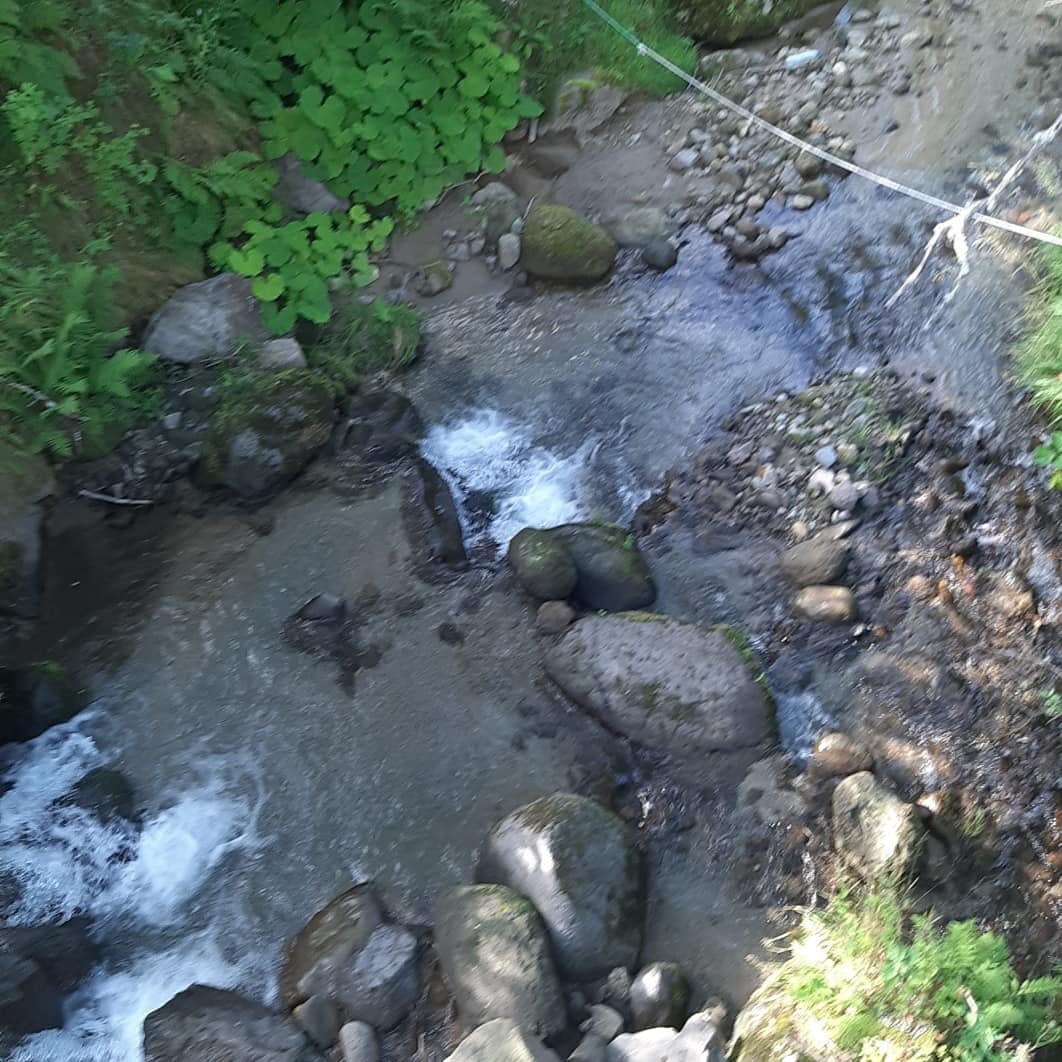 Photo n° 3 de l'avis de Estelle.e fait le 20/08/2019 à 16:32