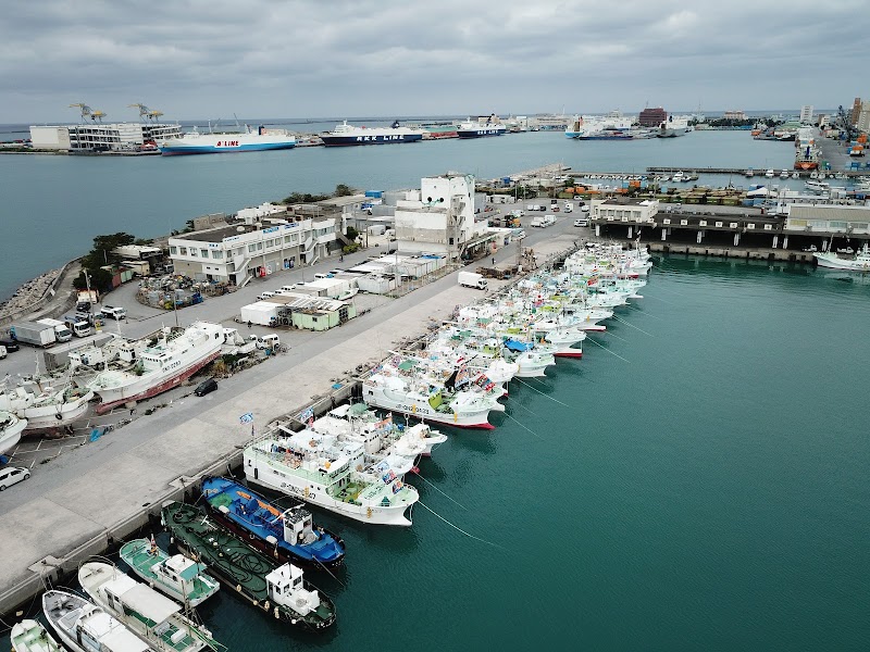 沖縄県近海鮪漁業協同組合