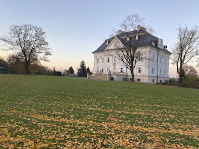 Pałac Borynia Zamkowa 5, 44-268 Jastrzębie-Zdrój, Polska