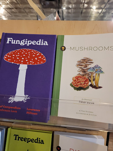 Book Store «Common Good Books», reviews and photos, 38 Snelling Ave S, St Paul, MN 55105, USA