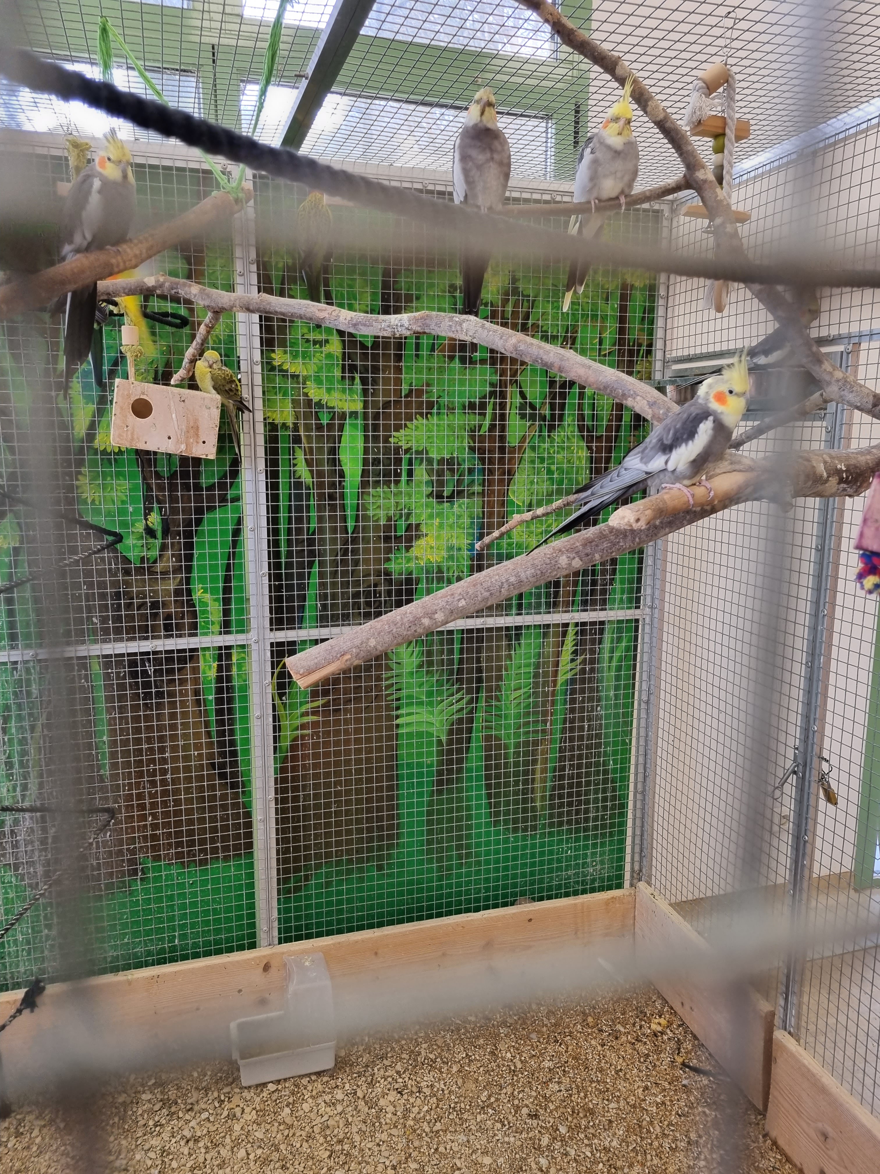 Photo n° 3 de l'avis de aurelmhkh. fait le 29/04/2023 à 08:44