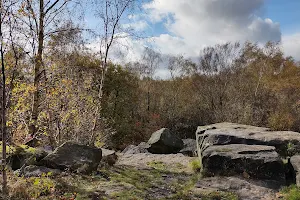 Loxley & Wadsley Common image