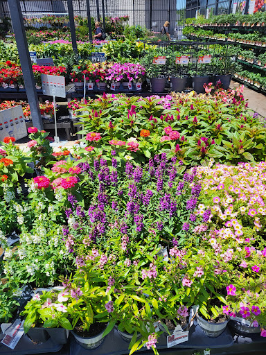 Department Store «Walmart Supercenter», reviews and photos, 2251 IN-54, Linton, IN 47441, USA