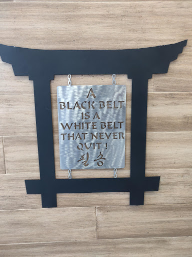 American Martial Arts Academy image