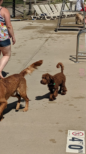 Water Park «Pirates’ Hollow Waterpark», reviews and photos, 201 N Webster St, Port Washington, WI 53074, USA