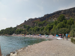 Zicova Riva beach II'in fotoğrafı birden fazla geniş koy ile birlikte