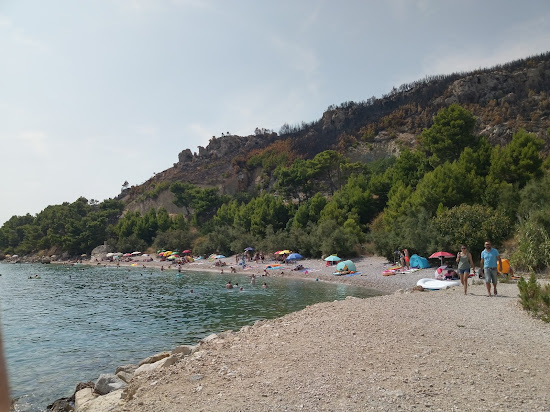 Zicova Riva beach II