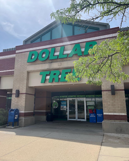 Dollar Store «Dollar Tree», reviews and photos, 1243 E Higgins Rd, Schaumburg, IL 60173, USA