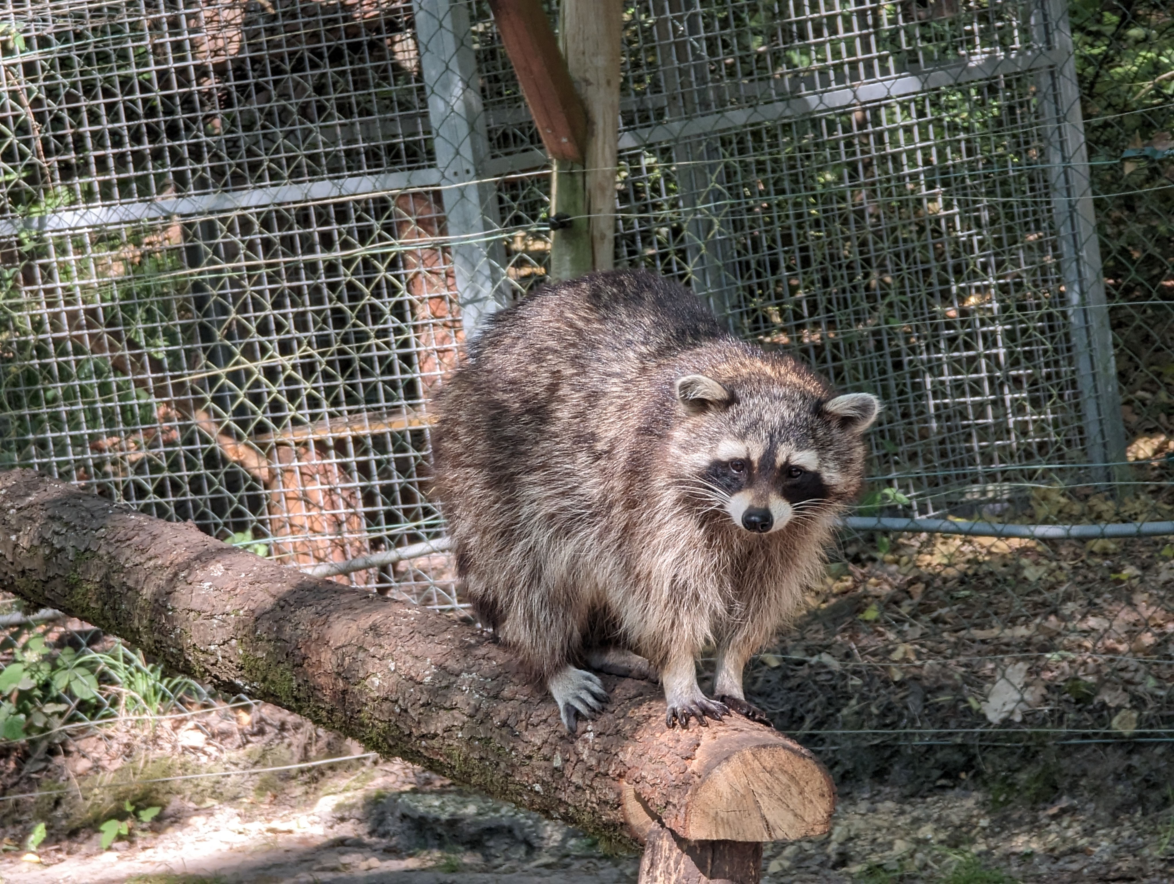 Photo n° 1 de l'avis de Quentin.a fait le 16/06/2023 à 09:29