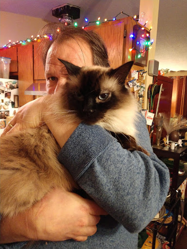 Pet Supply Store «Petco Animal Supplies», reviews and photos, 4209 Wheaton Way, Bremerton, WA 98310, USA