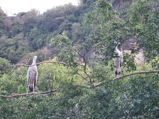 Top 20 cửa hàng ck Huyện Hoa Lư Ninh Bình 2022