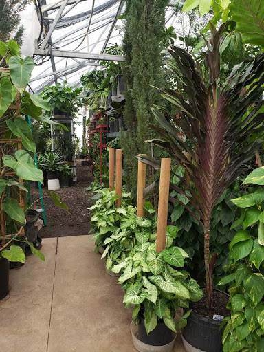 Florist «Little Eden Plantscaping», reviews and photos, 15550 W 72nd Ave, Arvada, CO 80007, USA