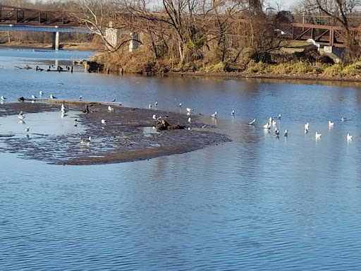 Boat Ramp «Bladensburg Waterfront Park», reviews and photos, 4601 Annapolis Rd, Bladensburg, MD 20710, USA