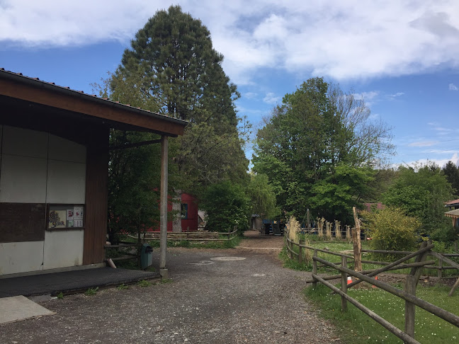 Rezensionen über Association de l'école Rudolf Steiner - Lausanne in Lausanne - Universität