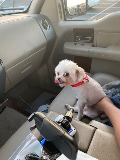 Pet Supply Store «PetSmart», reviews and photos, 15134 Crossroads Pkwy, Gulfport, MS 39503, USA