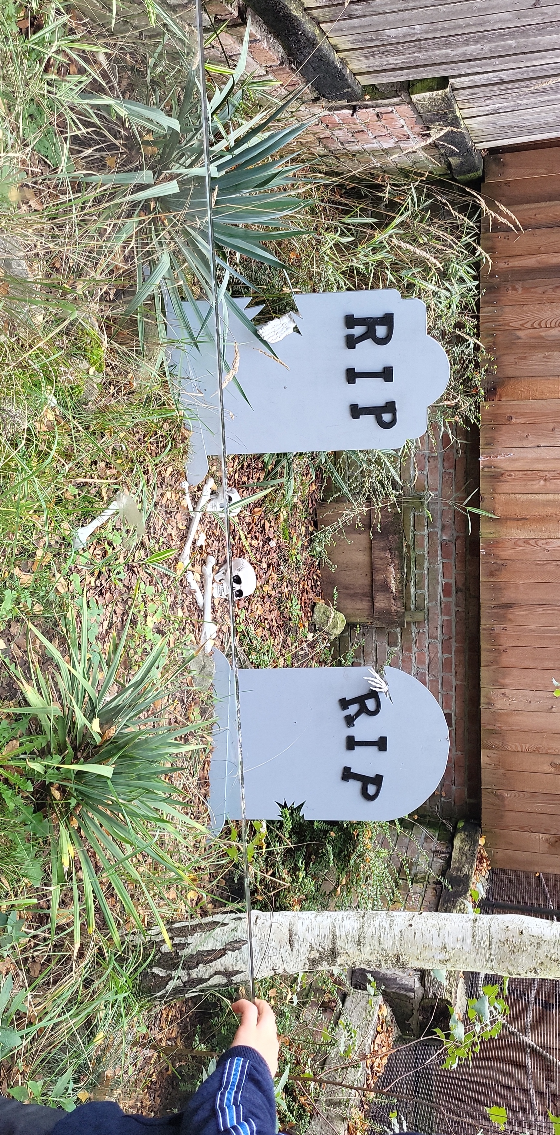 Photo n° 3 de l'avis de Jennifer.a fait le 11/11/2022 à 12:11