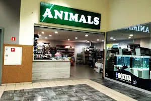 Animals sklep zoologiczny image