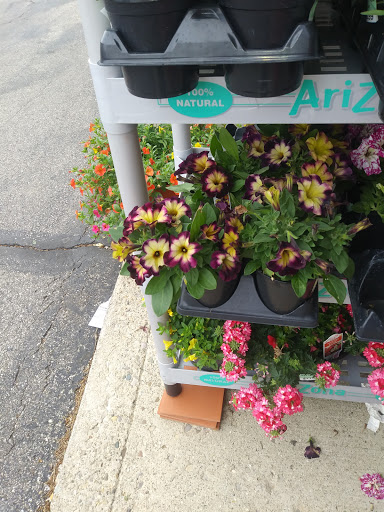 Grocery Store «Don Hatting Supermarket», reviews and photos, 6148 Bridgetown Rd, Cincinnati, OH 45248, USA