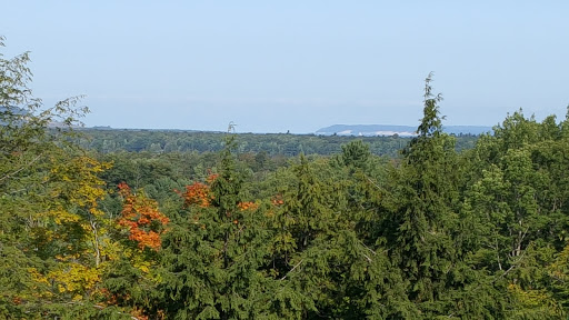 Public Golf Course «Manitou Passage Golf Club», reviews and photos, 4600 S Club Dr, Cedar, MI 49621, USA