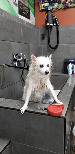 Pet Store «Pet Valu», reviews and photos, 511 S Oxford Valley Rd, Fairless Hills, PA 19030, USA