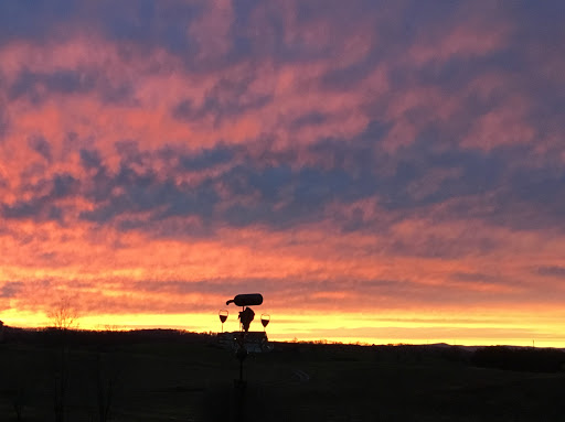 Winery «Third Hill Winery @ DeMello Vineyards», reviews and photos, 2110 Quicksburg Rd, Quicksburg, VA 22847, USA