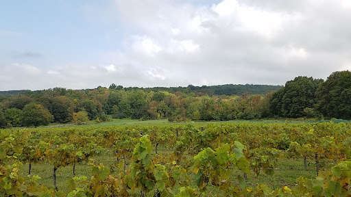 Winery «Demarest Hill Winery», reviews and photos, 81 Pine Island Turnpike, Warwick, NY 10990, USA