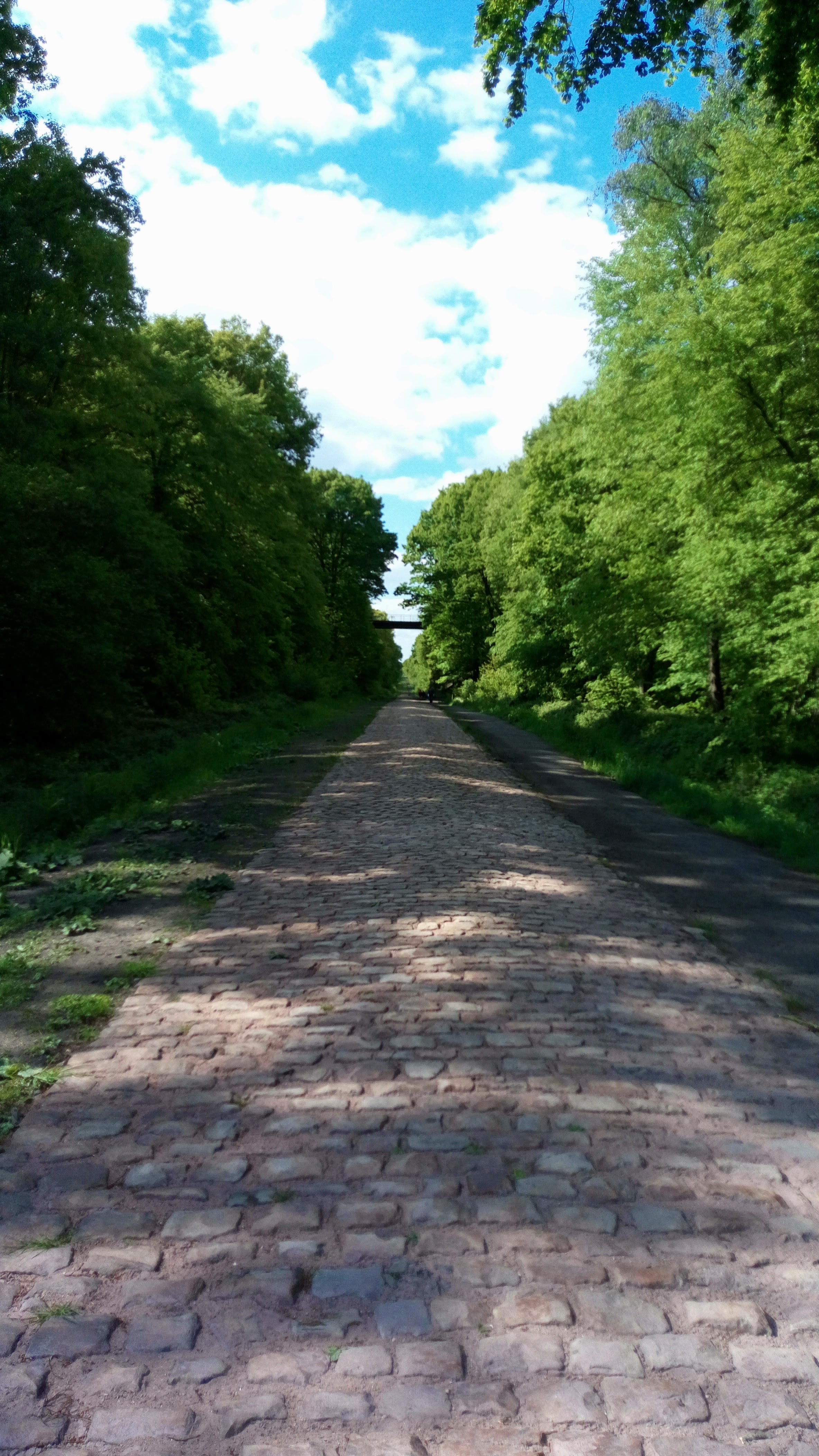 Photo n° 3 de l'avis de Steph.e fait le 12/05/2019 à 20:15