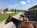PG TEAM - Equitation Centre Equestre Ribeauvillé Ribeauvillé
