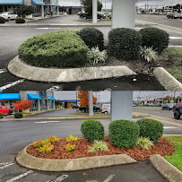 Sparta Lawn Care of Rockhill - Photo 9 - Car repair in Rock Hill, SC, Rock Hill