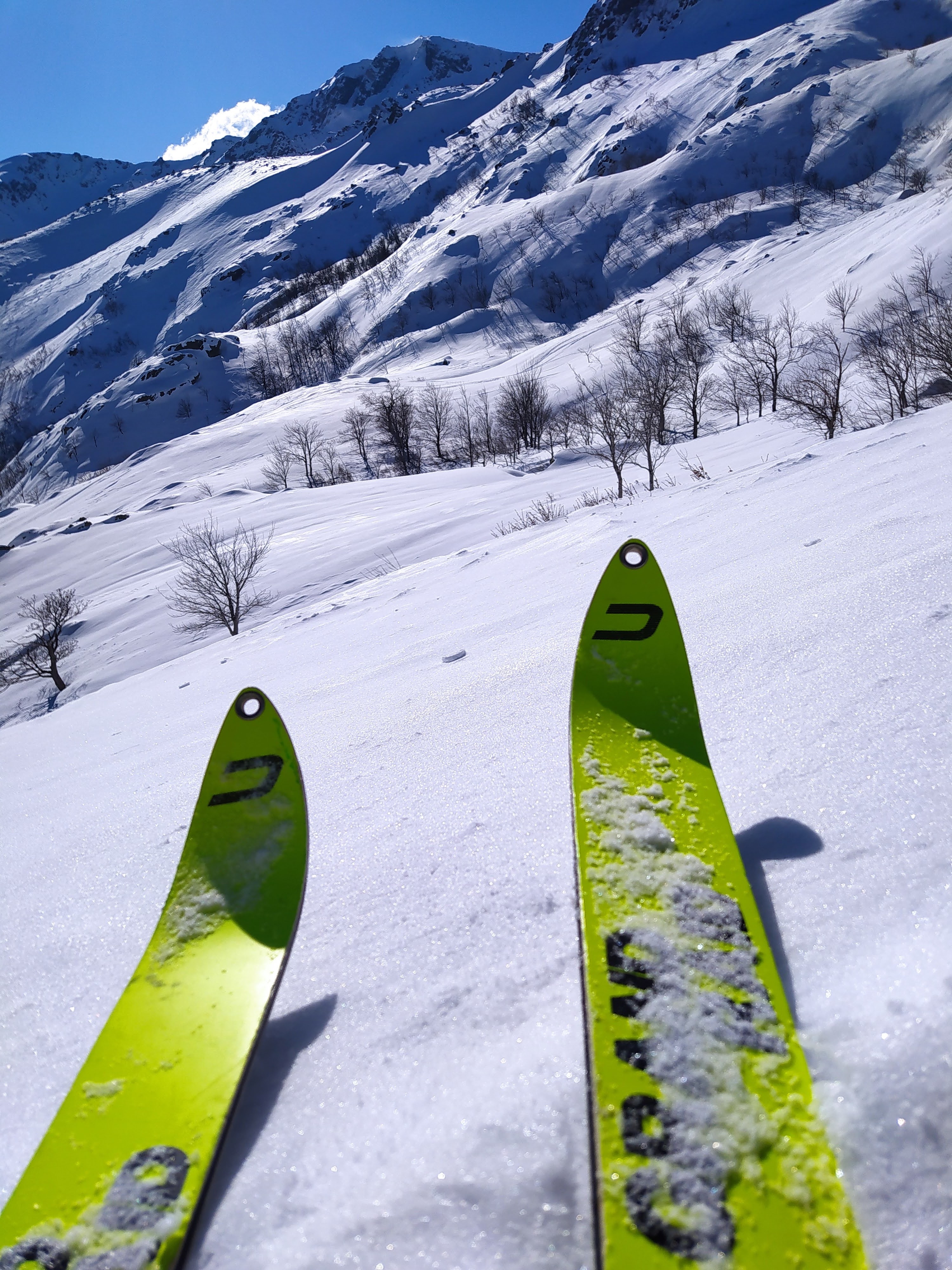 Photo n° 1 de l'avis de Marc.r fait le 02/02/2021 à 10:41