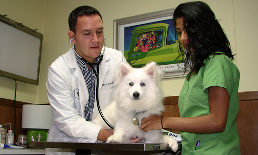 6580 Backlick Rd, Springfield, VA 22150, USA